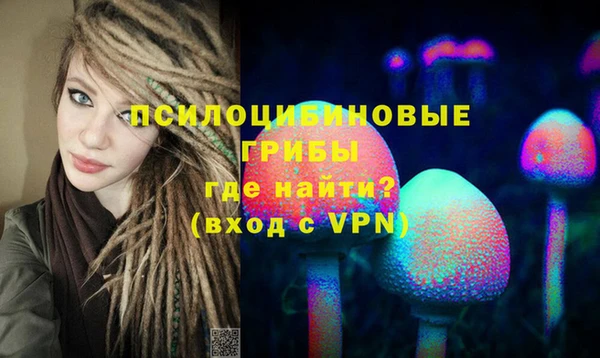 ECSTASY Лиски