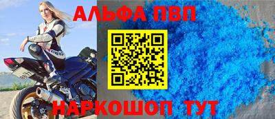 молекула духа Кингисепп