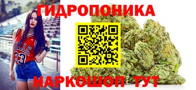 молекула духа Кингисепп