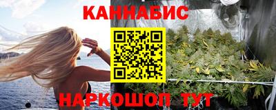 молекула духа Кингисепп