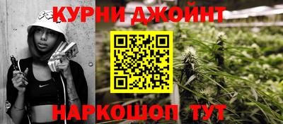 молекула духа Кингисепп