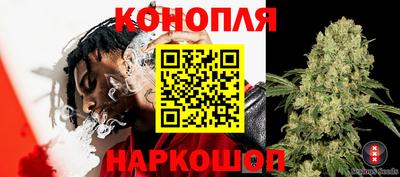 молекула духа Кингисепп