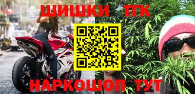 молекула духа Кингисепп