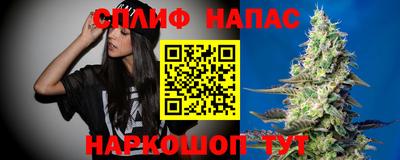 молекула духа Кингисепп