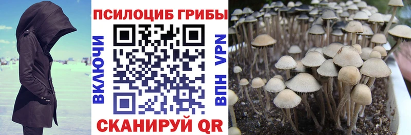 Псилоцибиновые грибы ЛСД  Строитель 