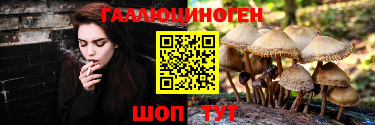 Псилоцибиновые грибы прущие грибы  купить закладку  Галлюциногенные грибы MAGIC MUSHROOMS  Строитель  Вход с VPN 